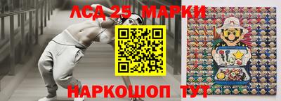 Альфа ПВП Ачхой-Мартан