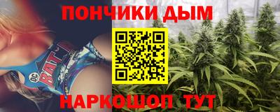 Альфа ПВП Ачхой-Мартан