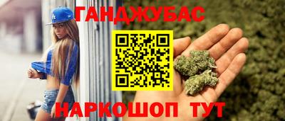 Альфа ПВП Ачхой-Мартан