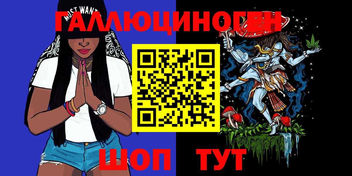 Псилоцибиновые грибы Psilocybe Кашира