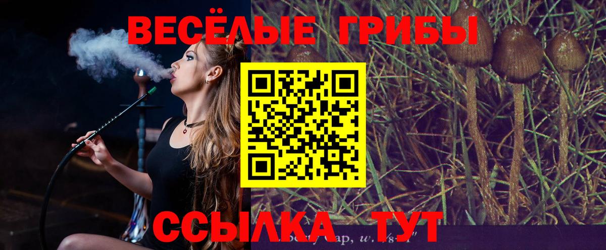 Галлюциногенные грибы Psilocybe  Псилоцибиновые грибы GOLDEN TEACHER  даркнет сайт  Кашира  Вход с VPN 